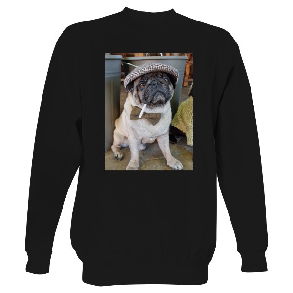 Mikina bez kapuce Unisex s potiskem Pánská mikina mops