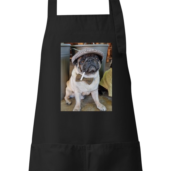 Zástěra s potiskem Zástěra pro pohodáře